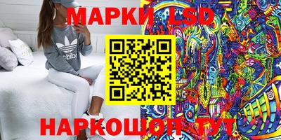 стафф Кимры