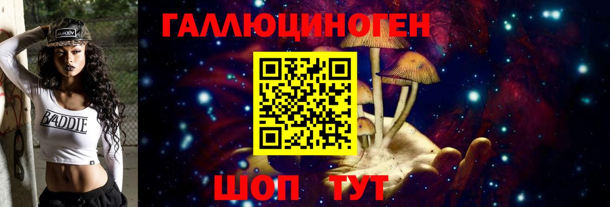 Псилоцибиновые грибы GOLDEN TEACHER  Вход с VPN  Кандалакша 