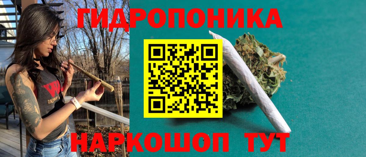Канабис OG Kush  Каннабис план  Марихуана White Widow  Вход с VPN  Кандалакша 